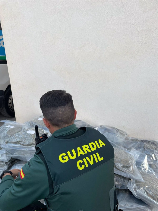 Agente de la Guardia Civil junto a la marihuana intervenida (GUARDIA CIVIL)