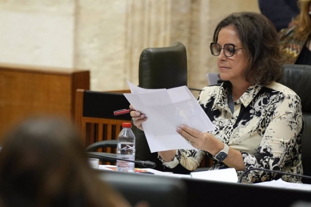 Catalina García, durante su intervención en la sesión plenaria (AMRÍA JOSÉ LÓPEZ / EUROPA PRESS)