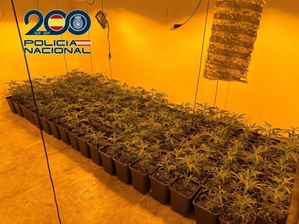 Plantación de marihuana intervenida en una localidad del área metropolitana de Granada (POLICÍA NACIONAL)
