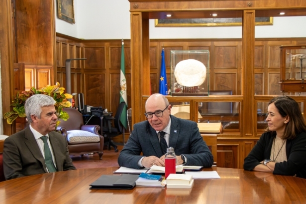 Presentación de la cátedra universitaria (UGR)