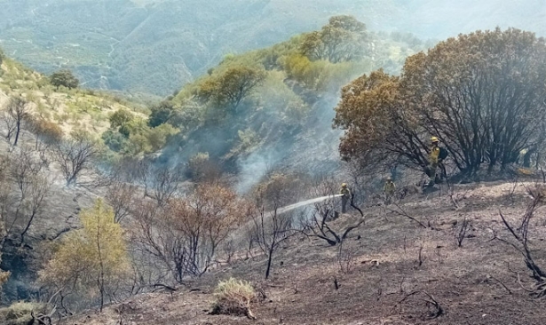 Incendio de Otívar (PERFIL DEL INFOCA EN LA RED SOCIAL `X`)