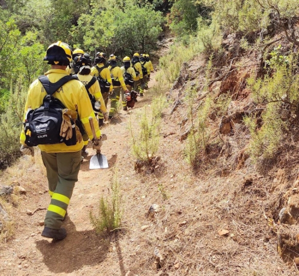 Los bomberos abandonan el lugar tras extinguir el fuego (INFOCA)