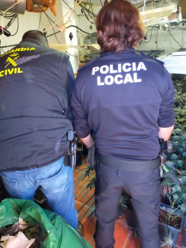 Desarticulado Un Centro De Producción De Marihuana En Huétor Vega Con 2.242 Plantas (GUARDIA CIVIL)