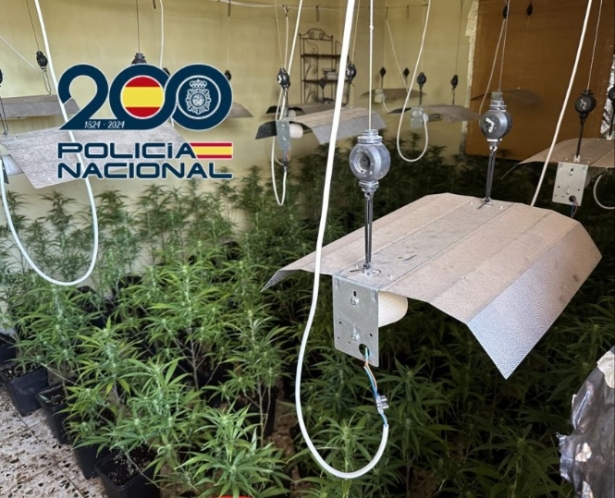 Plantación indoor (POLICÍA NACIONAL) 