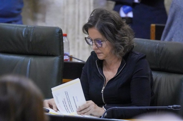 La consejera de Salud y Consumo de la Junta de Andalucía, Catalina García, en el Parlamento a principios de este mes de marzo (FRANCISCO J. OLMO / EUROPA PRESS)