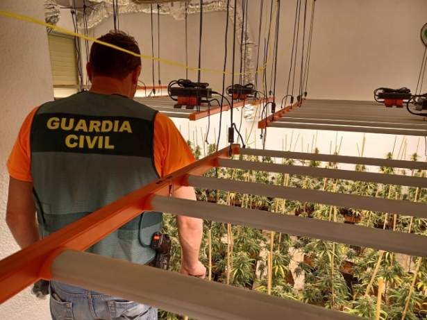 Agente de la Guardia Civil junto a una plantación de marihuana. (GUARDIA CIVIL)