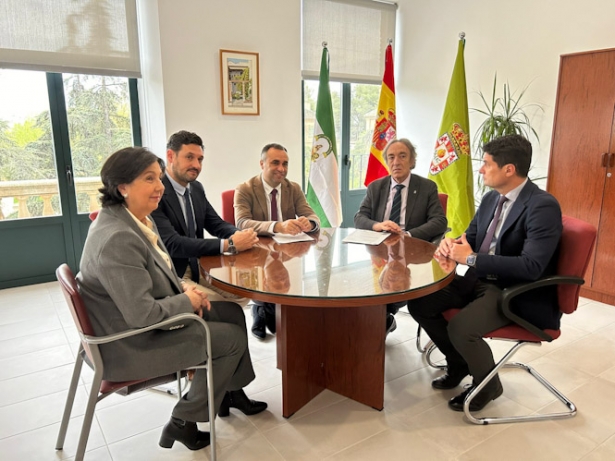 Imagen de la reunión (DIPGRA)