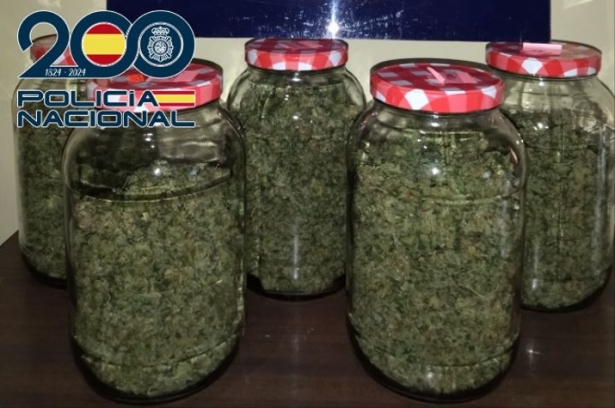 Tarros con los cogollos de marihuana (POLICÍA NACIONAL)