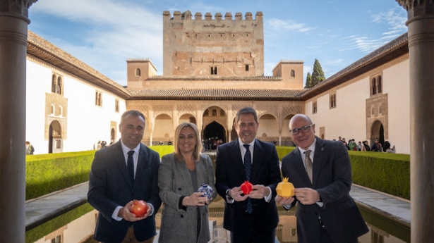 Puesta en marcha de Granada Global (CÁMARA GRANADA)