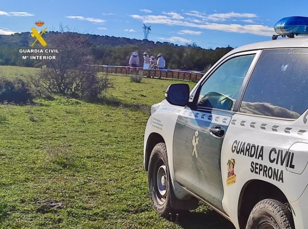 Seprona de la Guardia Civil. Archivo (GUARDIA CIVIL)