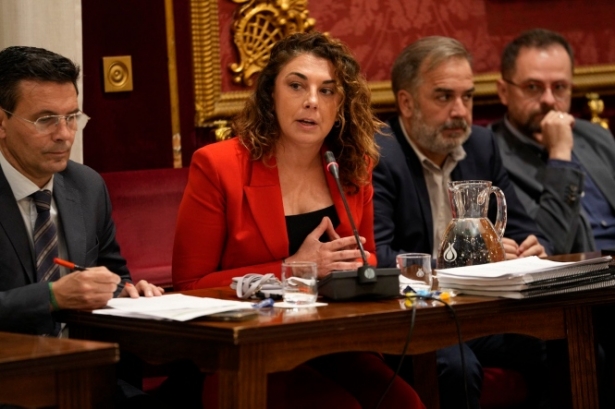 (PSOE)
