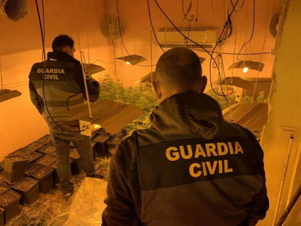 Agentes desarticulan un punto de producción de marihuana (GUARDIA CIVIL)