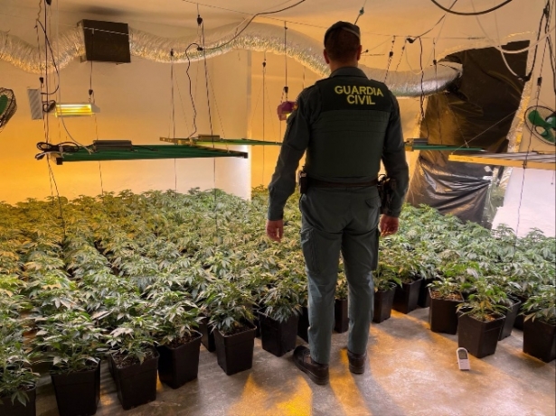 Sucesos.- Descubren 14 casas enganchadas a la red eléctrica en Atarfe e intervienen 324 plantas de marihuana (GUARDIA CIVIL) 