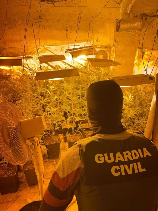 Agente desmantela una plantación de marihuana. (GUARDIA CIVIL)