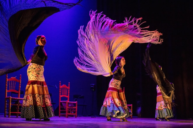 Baile flamenco (ESPECTÁCULOS DEL SUR)