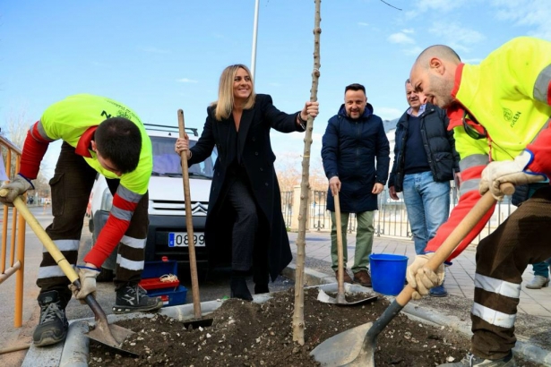 Plantación de árboles en la capital (AYTO. GRANADA) 