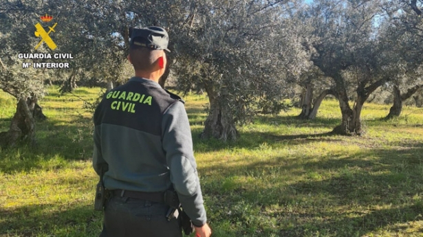 Guardia Civil junto a unos olivares (GUARDIA CIVIL)