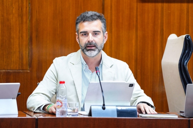 El consejero de Sostenibilidad, Medio Ambiente y Economía Azul, Ramón Fernández-Pacheco, en comisión parlamentaria (JOAQUÍN CORCHERO / PARLAMENTO DE ANDALUCÍA) 