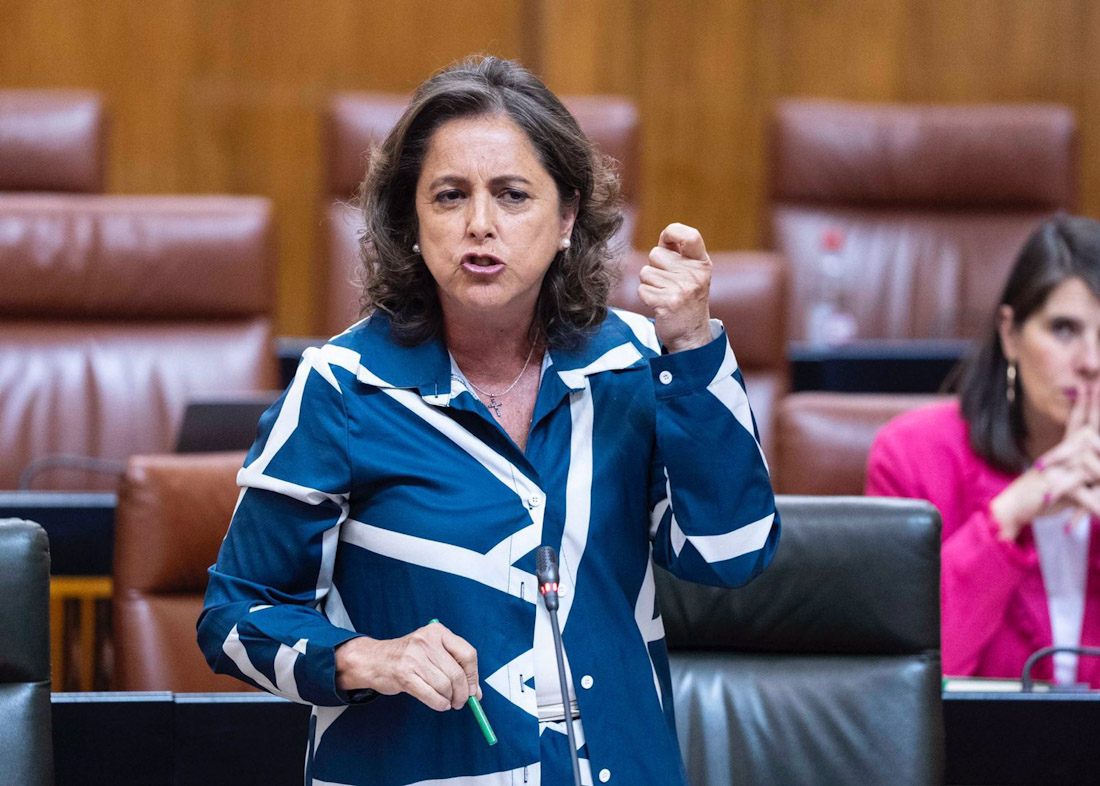 La consejera de Salud y Consumo, Catalina García, en el Pleno del Parlamento de Andalucía (JOAQUIN CORCHERO / PARLAMENTO DE ANDALUCÍA) La consejera de Salud y Consumo, Catalina García, en el Pleno del Parlamento de Andalucía (JOAQUIN CORCHERO / PARLAMENTO DE ANDALUCÍA)