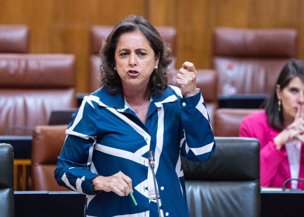 La consejera de Salud y Consumo, Catalina García, en el Pleno del Parlamento de Andalucía (JOAQUIN CORCHERO / PARLAMENTO DE ANDALUCÍA) 