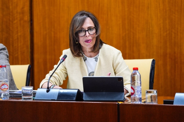 La consejera de Fomento de la Junta de Andalucía, Rocío Díaz, en la comisión del 9 de mayo en el Parlamento andaluz (JOAQUIN CORCHERO / PARLAMENTO DE ANDALUCIA)