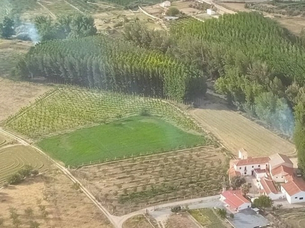 El Infoca da por extinguido el incendio forestal declarado en Guadix (INFOCA)