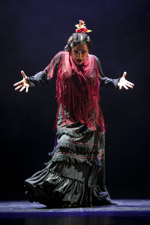 Eva Yerbabuena durante una actuación (ANA PALMA)