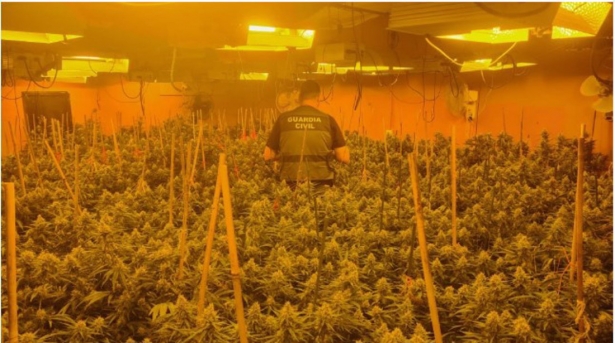 Plantación de marihuana desmantelada en un chalé de lujo de Monachil (GUARDIA CIVIL)
