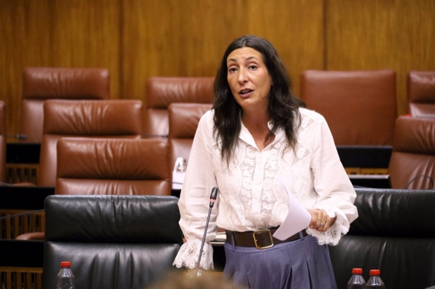 La consejera de Inclusión Social de la Junta de Andalucía, Loles López, la semana pasada en el Parlamento (JUNTA DE ANDALUCIA)