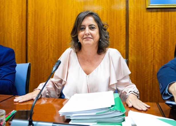 La consejera de Salud y Consumo de la Junta de Andalucía, Catalina García, en la comisión parlamentaria de este miércoles (JOAQUIN CORCHERO / PARLAMENTO DE ANDALUCIA)
