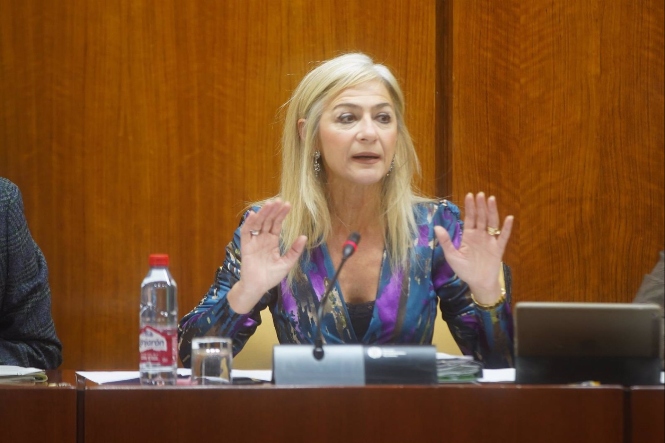 La consejera de Desarrollo Educativo y Formación Profesional, durante una comparecencia en sede parlamentaria en imagen de archivo (EDUARDO BRIONES - EUROPA PRESS) La consejera de Desarrollo Educativo y Formación Profesional, durante una comparecencia en sede parlamentaria en imagen de archivo (EDUARDO BRIONES - EUROPA PRESS)