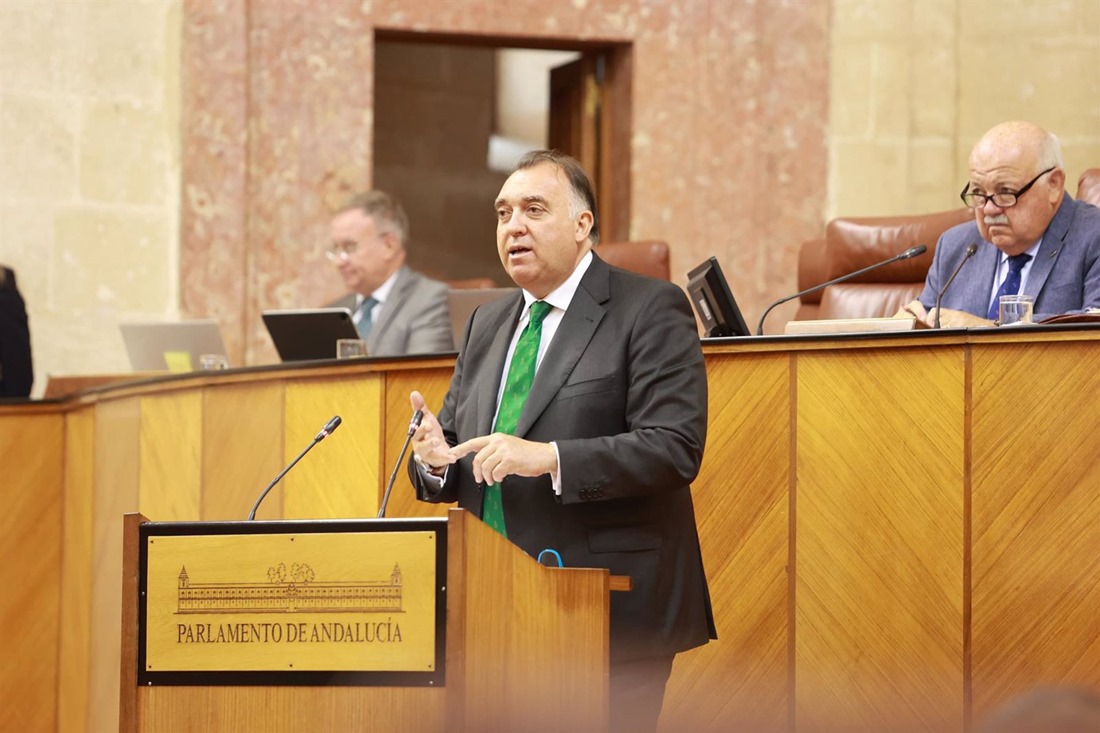 El consejero de Turismo, Cultura y Deporte, Arturo Bernal, en el Parlamento andaluz (ROCÍO RUZ - EUROPA PRESS) El consejero de Turismo, Cultura y Deporte, Arturo Bernal, en el Parlamento andaluz (ROCÍO RUZ - EUROPA PRESS)