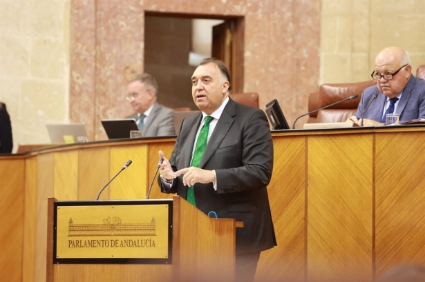 El consejero de Turismo, Cultura y Deporte, Arturo Bernal, en el Parlamento andaluz (ROCÍO RUZ - EUROPA PRESS)