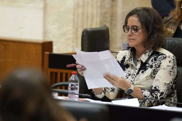 La Consejera de Salud, Catalina García (MARÍA JOSÉ LÓPEZ / EUROPA PRESS)