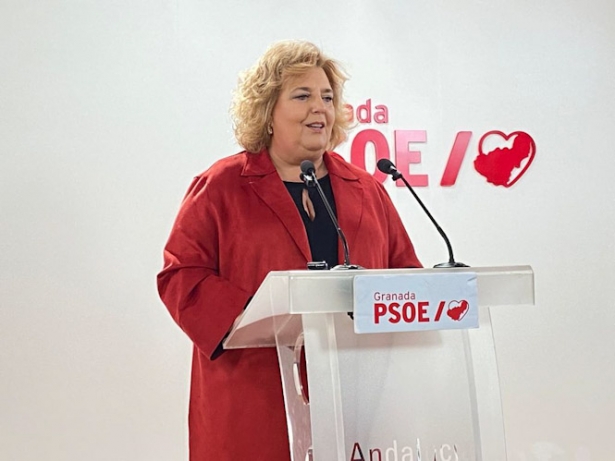 La portavoz del grupo socialista en la Diputación de  Granada, Fátima Gómez (PSOE)