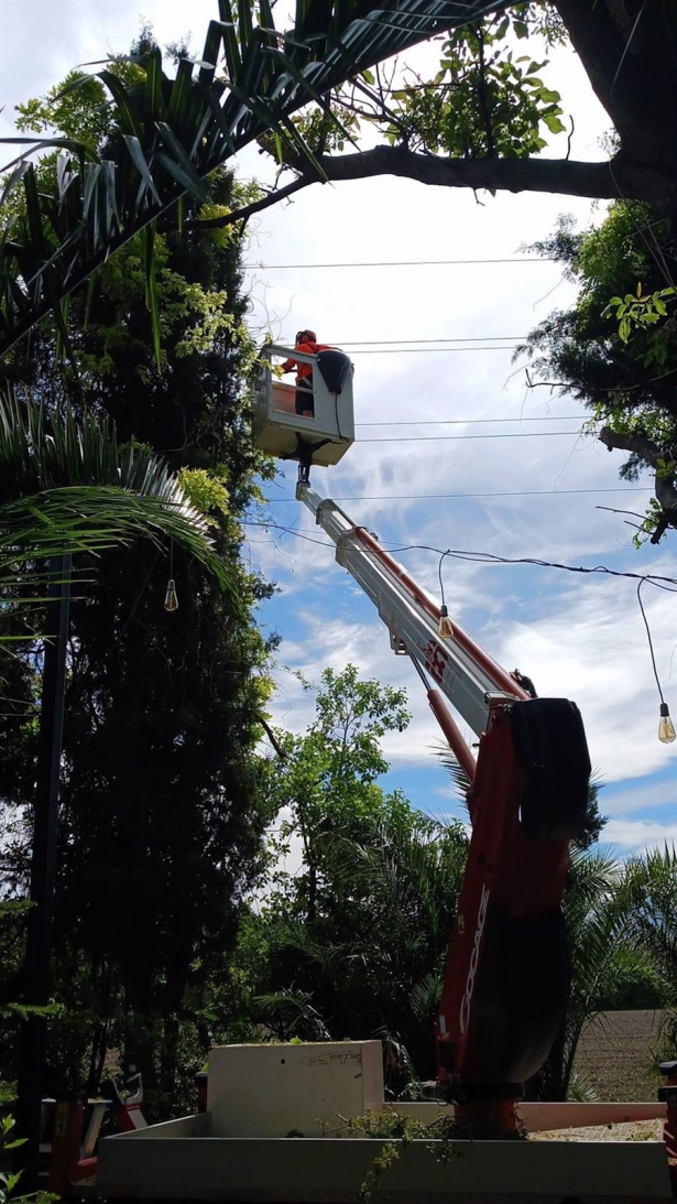 Endesa protege el entorno de las líneas eléctricas en la provincia de Granada (ENDESA)