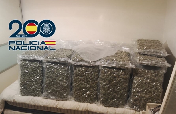 Marihuana intervenida (POLICIA NACIONAL)