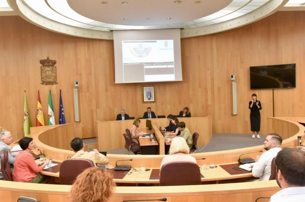 Pleno extraordinario de Diputación (DIPGRA)