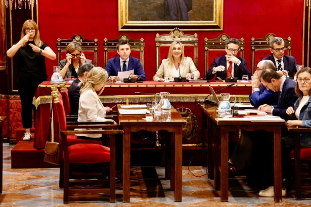 Pleno del ayuntamiento de Granada (AYTO. GRANADA)