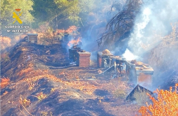 Incendio forestal en Turón en una zona de colmenas (GUARDIA CIVIL)
