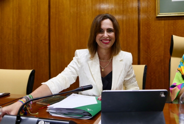 La Consejera de Fomento, Rocío Díaz (JUNTA)