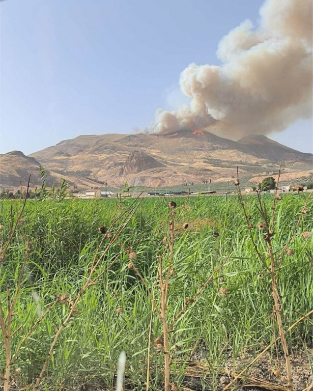 Incendio de Pinos Puente, en Granada. - EUROPA PRESS
