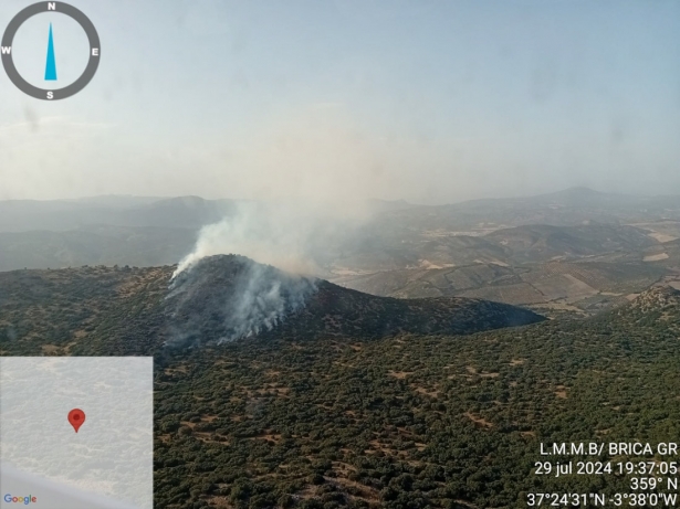 Imagen de la zona incendiada en Iznalloz - INFOCA