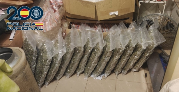 Marihuana incautada (POLICÍA NACIONAL)