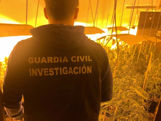 Agente de la Guardia Civil junto a una plantación, en imagen de archivo (GUARDIA CIVIL)