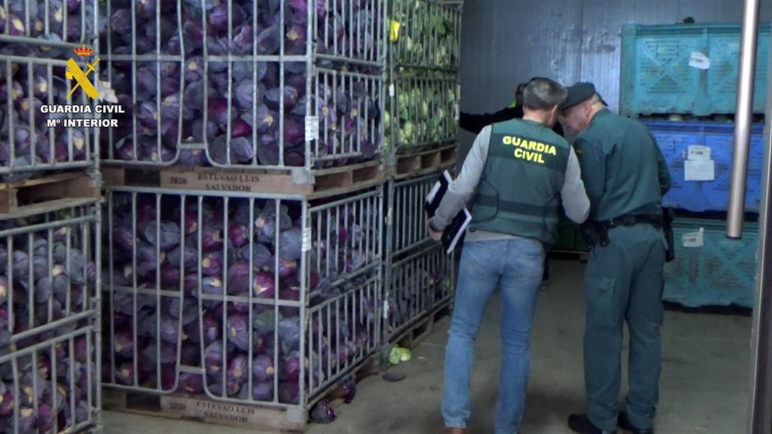 Cae una red en Motril por vender dos millones de kilos de frutas y verduras como productos ecológicos (GUARDIA CIVIL) Cae una red en Motril por vender dos millones de kilos de frutas y verduras como productos ecológicos (GUARDIA CIVIL)
