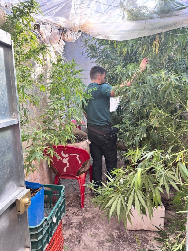 Desmantelado un punto de venta de droga al menudeo junto al colegio de Zújar (GUARDIA CIVIL)