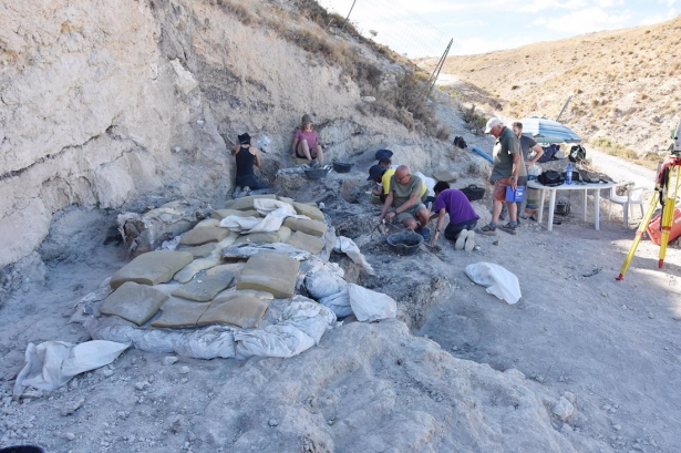 Trabajos en el yacimiento paleontológico Baza 1 (AYUNTAMIENTO)