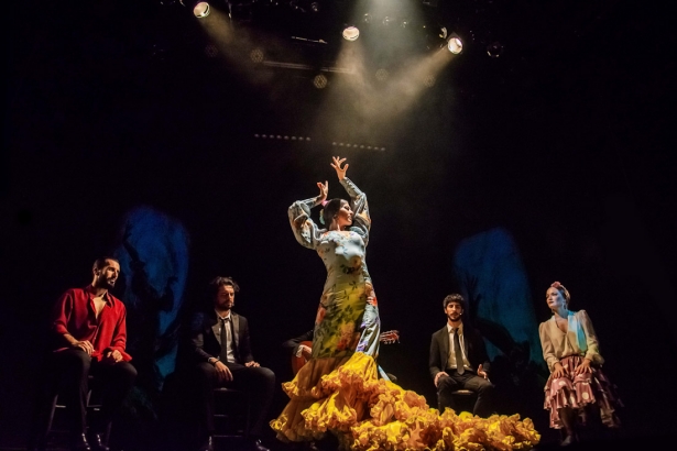 (TEATRO FLAMENCO)