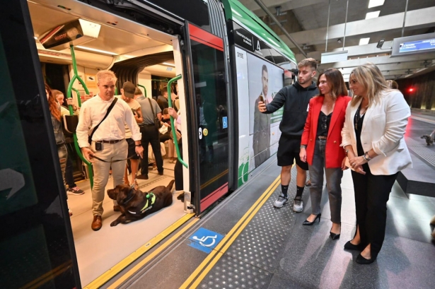 Un perro en el metro (JUNTA)